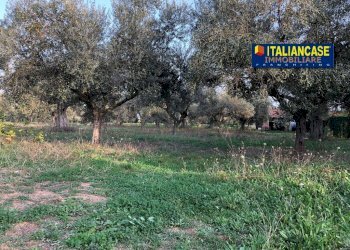 IMG-20230419-WA0022 (1).jpg - Terreno agricolo Contrada San Pietro 89, Città Sant'Angelo - foto 8