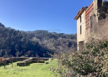 vendesi rudere lucca colline IMG_4725.jpeg - Casale via di villa pardini lucca, Lucca - foto 4