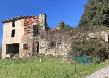 vendesi rudere lucca colline IMG_4724.jpeg - Casale via di villa pardini lucca, Lucca - foto 6