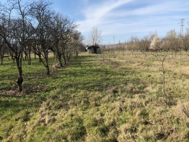 Rustic Savignano sul Panaro - photo 3