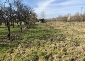 Rustic Savignano sul Panaro - photo 3