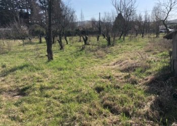 Rustic Savignano sul Panaro - photo 6