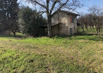 Rustic Savignano sul Panaro - photo 8