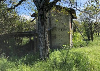Rustic Savignano sul Panaro - photo 13