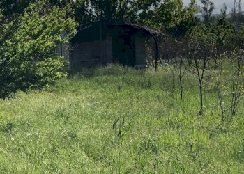 Rustic Savignano sul Panaro - photo 18