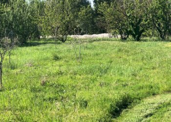 Rustic Savignano sul Panaro - photo 19