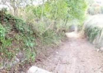 Terreno edificabile Borghetto Santo Spirito - foto 4