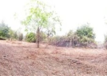 Terreno edificabile Borghetto Santo Spirito - foto 7