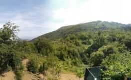 Rustic Andora - photo 1