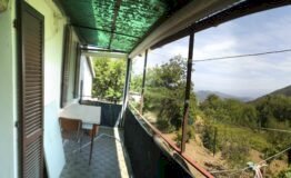 Rustic Andora - photo 3