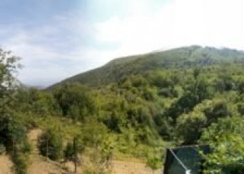 Rustic Andora - photo 1