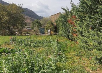 Semi-detached house Ortovero - photo 12