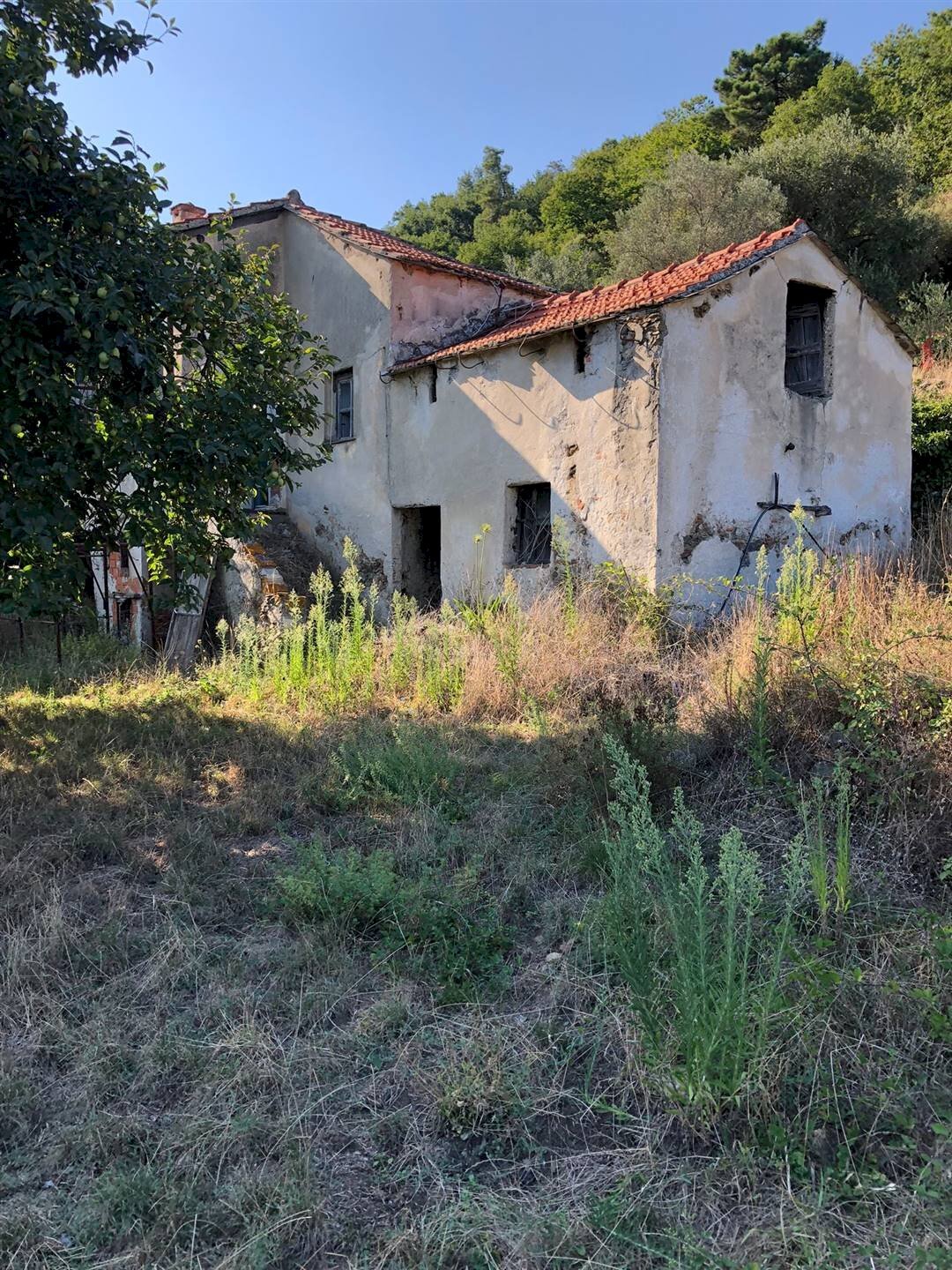 Rustico Quiliano - foto 3