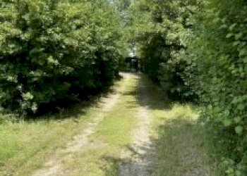 Villa Maranello - photo 8