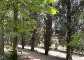 Villa Maranello - photo 9