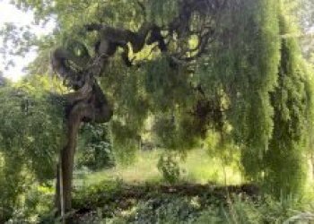 Villa Maranello - photo 11