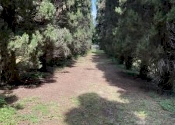 Villa Maranello - photo 12