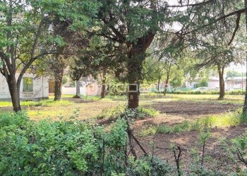 Villetta Vignola - foto 6