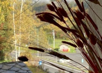 Monolocale Gaby - foto 12