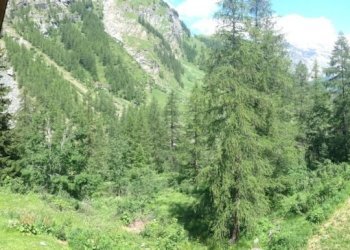 One-room apartment Gressoney-la-Trinitè - photo 18