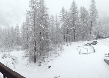 One-room apartment Gressoney-la-Trinitè - photo 19