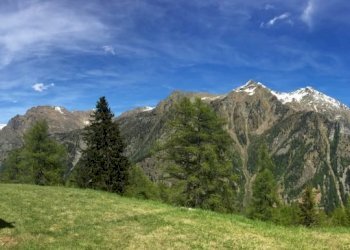 Baita Gressoney-Saint-Jean - foto 12