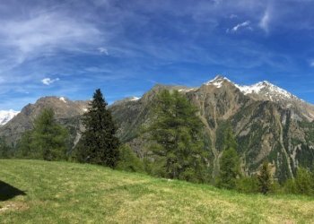 Baita Gressoney-Saint-Jean - photo 12
