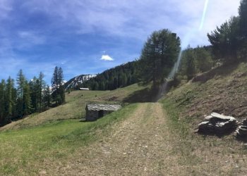 Baita Gressoney-Saint-Jean - photo 13