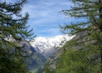 Baita Gressoney-Saint-Jean - photo 15