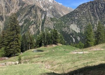 Baita Gressoney-Saint-Jean - photo 18