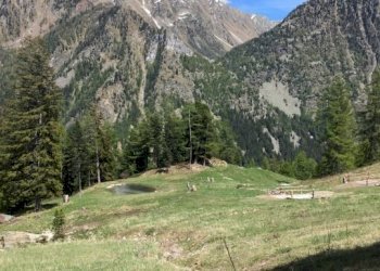 Baita Gressoney-Saint-Jean - foto 17