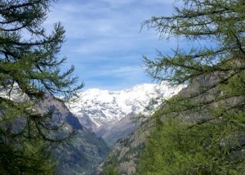 Baita Gressoney-Saint-Jean - foto 18