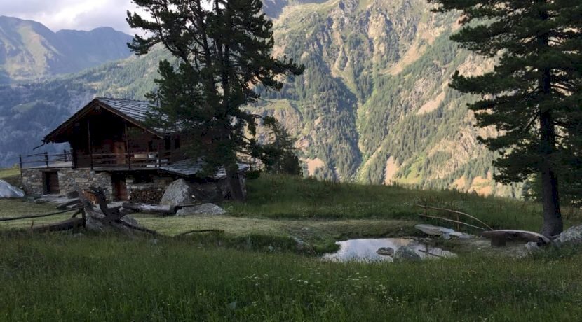 Baita Gressoney-Saint-Jean - photo 2