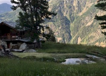 Baita Gressoney-Saint-Jean - foto 4