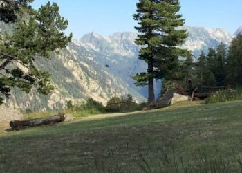 Baita Gressoney-Saint-Jean - foto 7