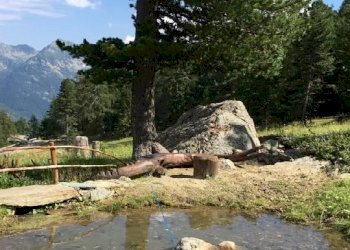 Baita Gressoney-Saint-Jean - foto 10