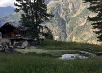 Baita Gressoney-Saint-Jean - photo 4