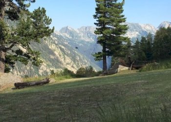 Baita Gressoney-Saint-Jean - photo 7