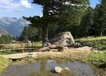 Baita Gressoney-Saint-Jean - photo 10