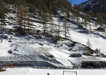 Two-room apartment Gressoney-la-Trinitè - photo 17