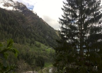 Stable - Palace Gressoney-Saint-Jean - photo 22