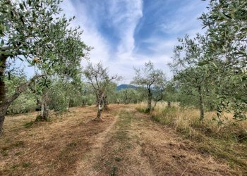 Esterni - Rustico via San Lorenzo, Camaiore - foto 4