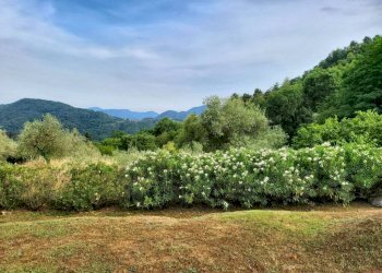 Esterni - Rustico via San Lorenzo, Camaiore - foto 7