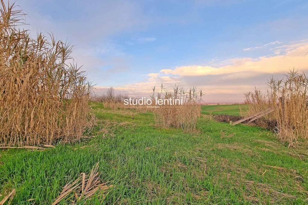 Terreno edificabile via San Martino, 13, Terruggia - foto 2