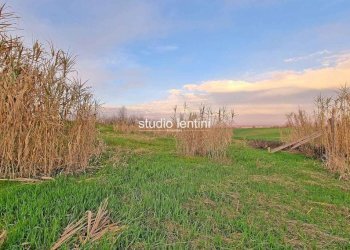 Terreno edificabile via San Martino, 13, Terruggia - foto 2