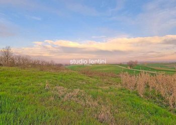 Terreno edificabile via San Martino, 13, Terruggia - foto 4