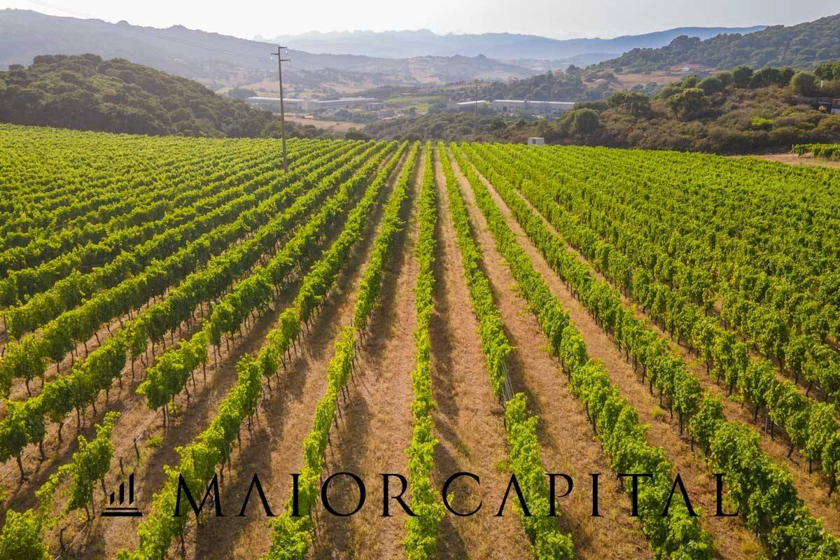 Agricultural land Via Sigara, Calangianus - photo 3