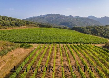 Terreno agricolo Via Sigara, Calangianus - foto 1