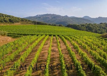 Terreno agricolo Via Sigara, Calangianus - foto 2