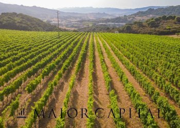 Terreno agricolo Via Sigara, Calangianus - foto 3